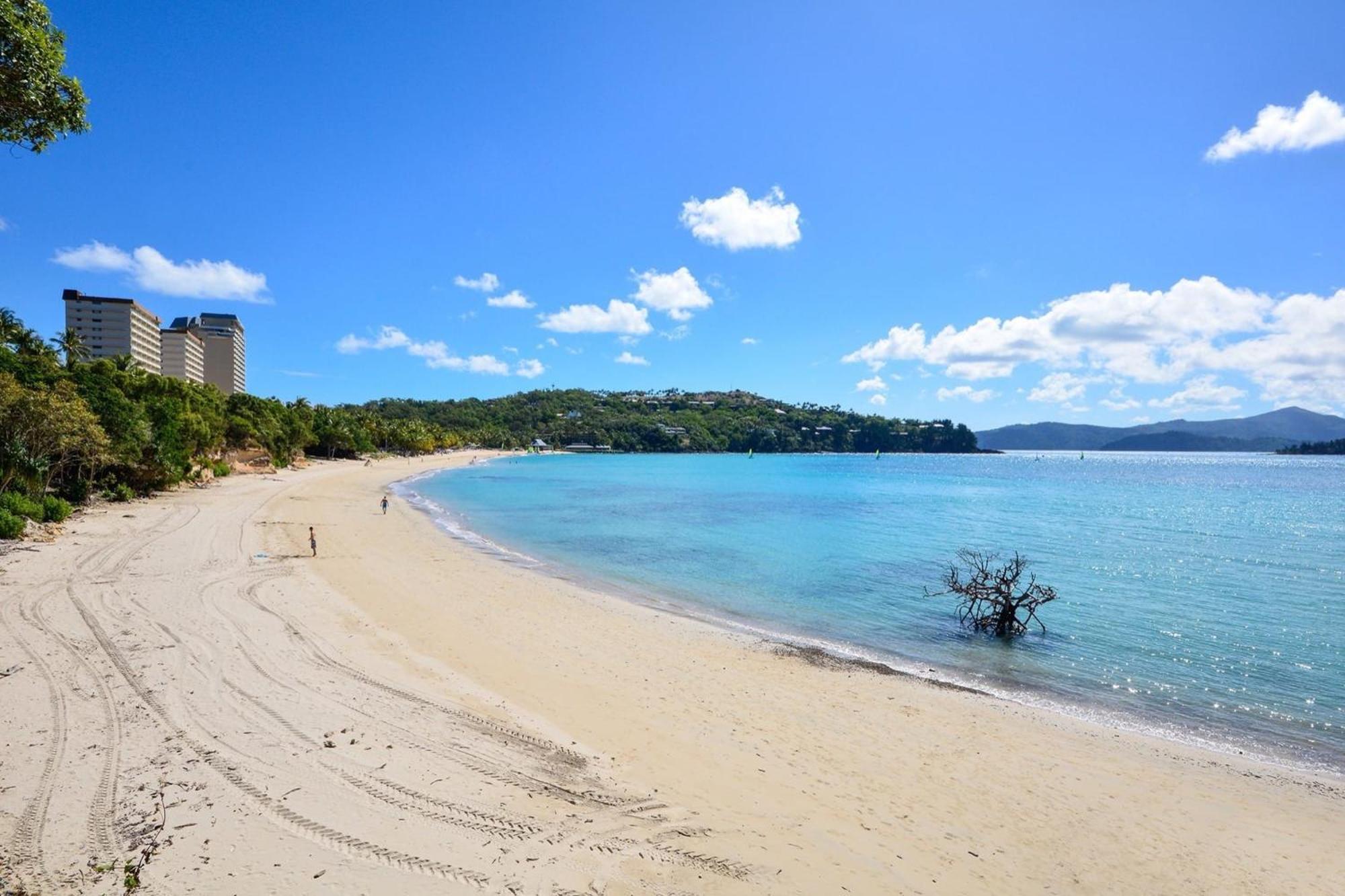Beachfront Isla Hamilton Exterior foto
